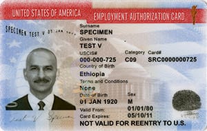 U.S. Employment Authorization Work Permit