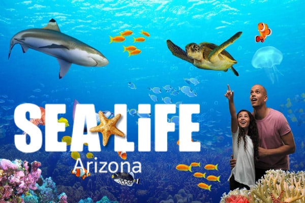 Sea Life Aquarium Arizona
