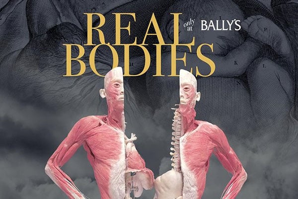 Real Bodies at Bally’s