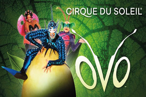 Cirque du Soleil OVO
