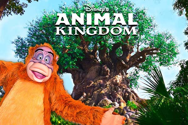 Disney’s Animal Kingdom Discounts for Canadians