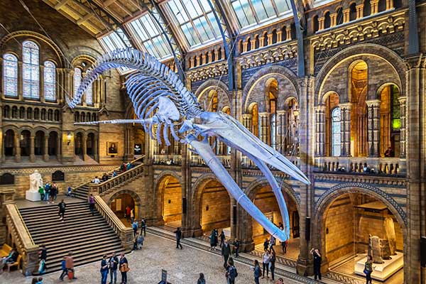 Top 10 Museums in the US